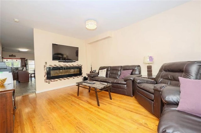 living room with wood-type flooring