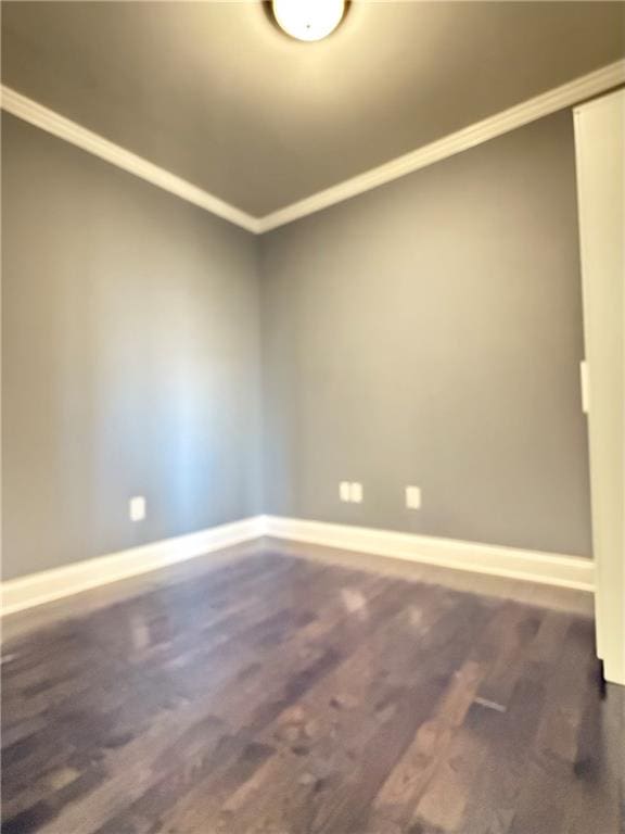 spare room with crown molding and dark wood-type flooring