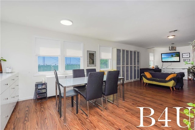 dining room featuring a wealth of natural light and hardwood / wood-style floors