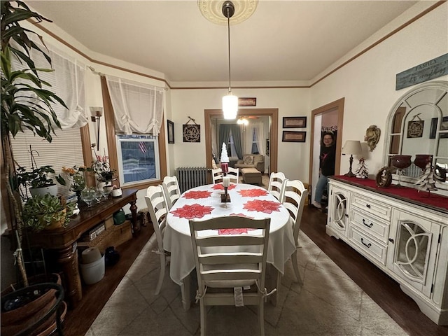 dining space with dark wood-style floors, crown molding, and radiator heating unit