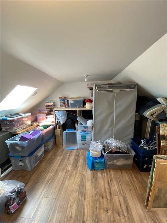 storage room with a skylight