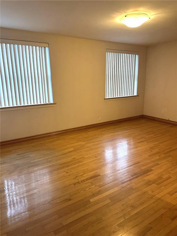 empty room featuring a healthy amount of sunlight and light hardwood / wood-style floors