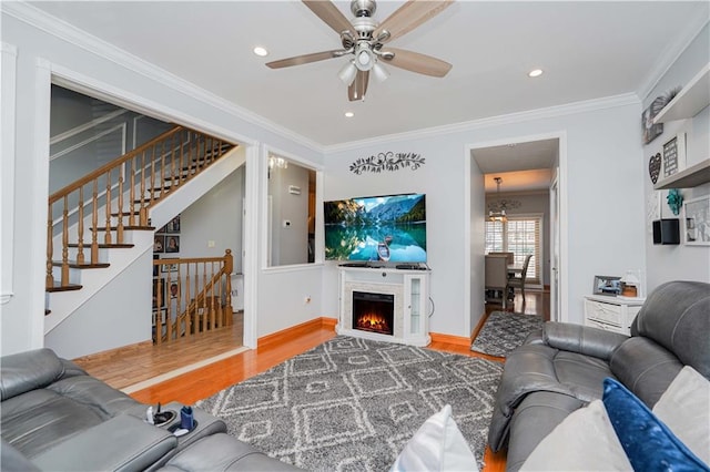 living room featuring hardwood / wood-style floors, ceiling fan, and ornamental molding