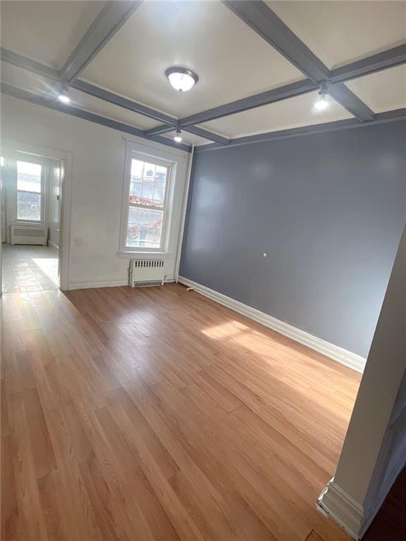 spare room featuring light wood-type flooring, baseboards, radiator, and a healthy amount of sunlight