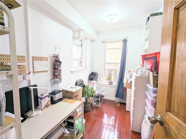 home office featuring dark hardwood / wood-style flooring