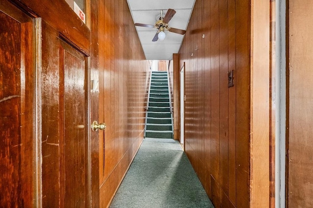 hallway with wood walls and carpet flooring