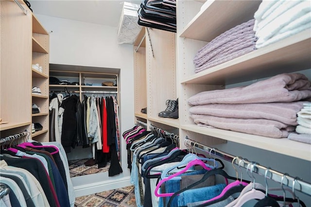 view of spacious closet