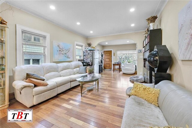 living room with light wood-type flooring and crown molding