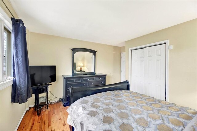 bedroom featuring wood-type flooring and a closet