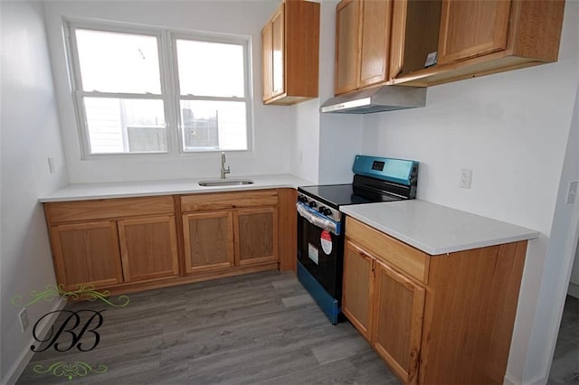 kitchen with sink, black range, and hardwood / wood-style floors