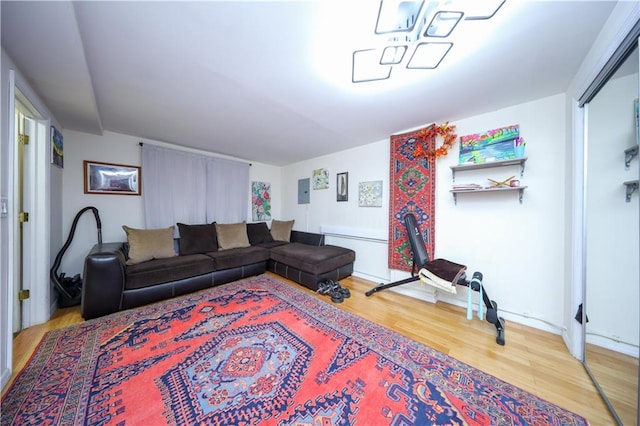 living room featuring wood-type flooring