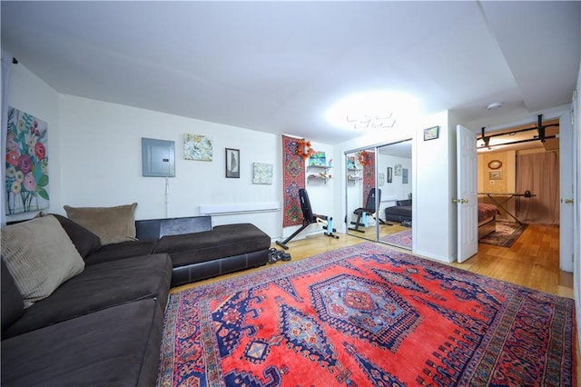 living room featuring light wood-type flooring and electric panel