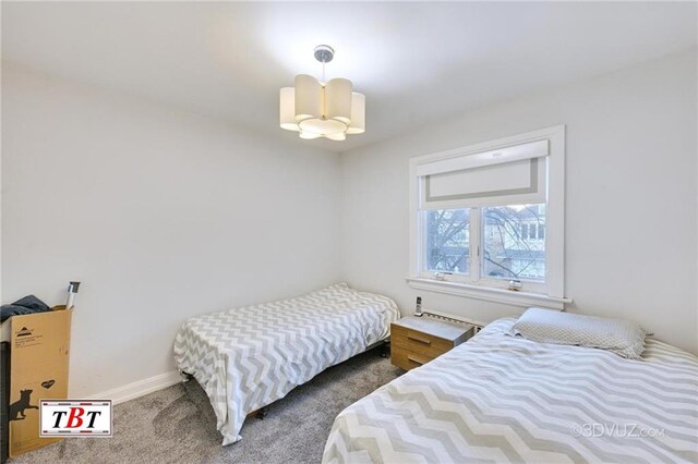 bedroom featuring carpet