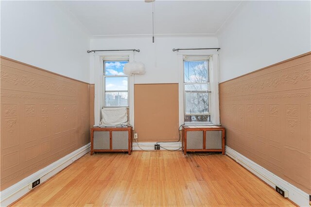 spare room featuring a wealth of natural light and wood-type flooring