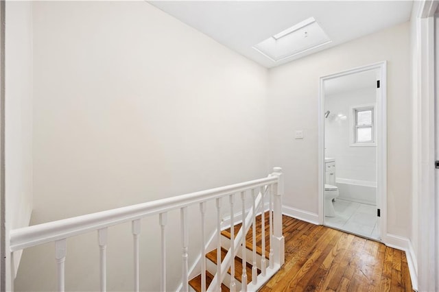 hallway featuring wood-type flooring and a skylight