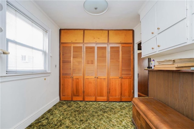 interior space with carpet, ornamental molding, and a wealth of natural light