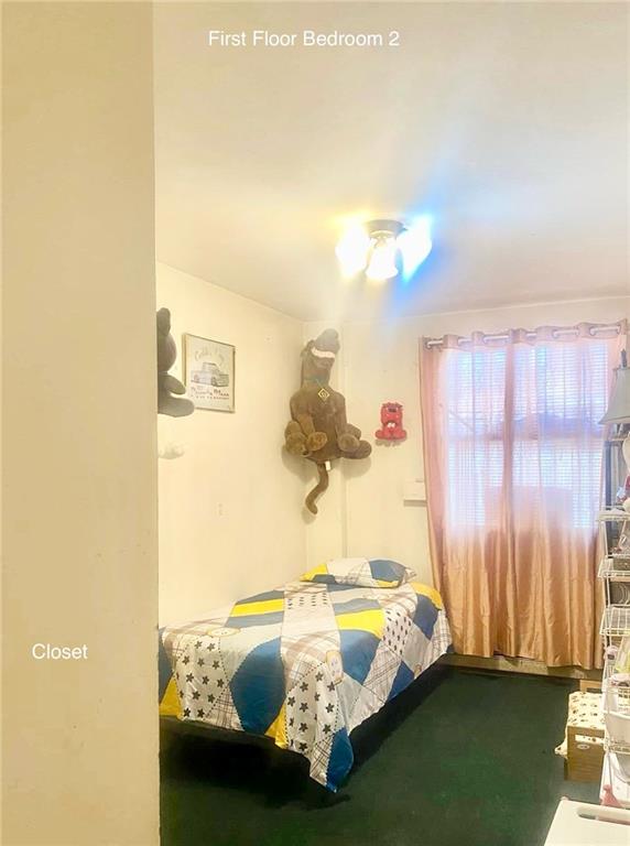 153 Hendrix St, Brooklyn, NY 11207 - view of bedroom