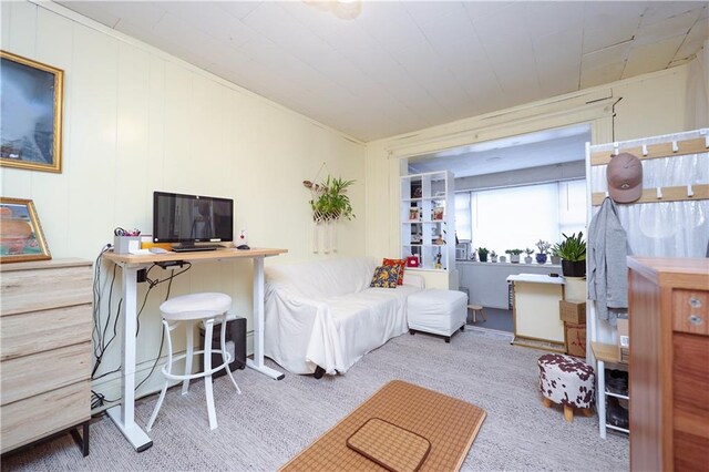 bedroom featuring carpet flooring