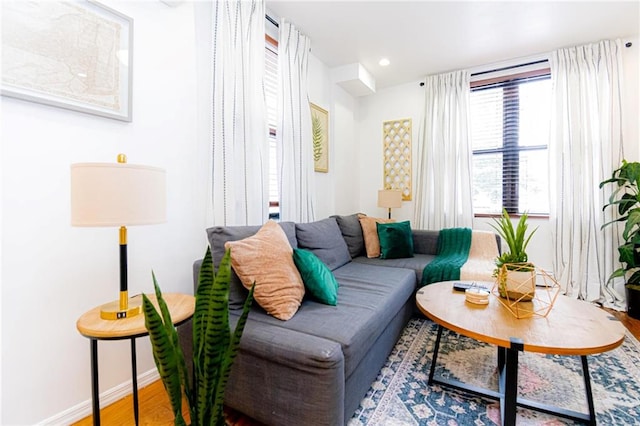 living room featuring hardwood / wood-style floors and a healthy amount of sunlight