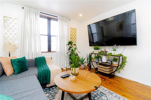 living room featuring hardwood / wood-style floors