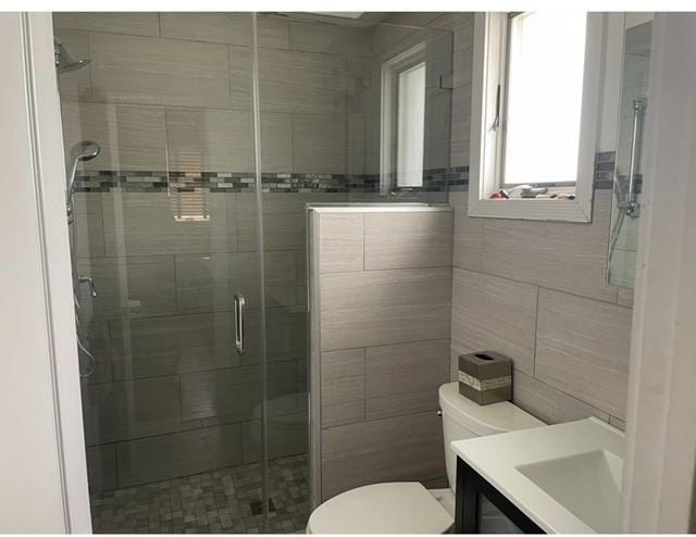 bathroom featuring vanity, toilet, and a shower with shower door