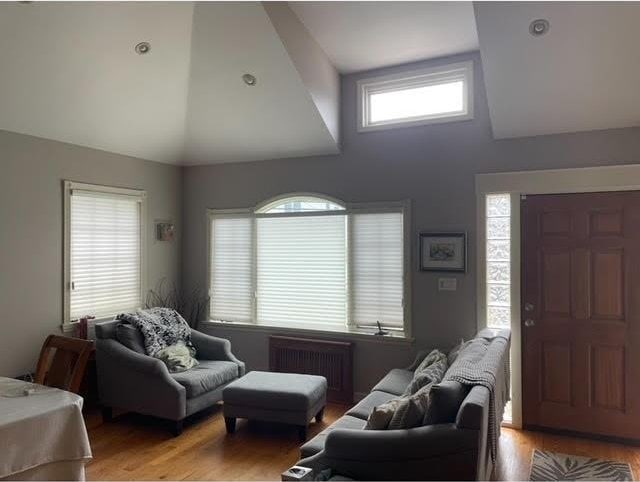 living room with radiator heating unit, lofted ceiling, and a healthy amount of sunlight