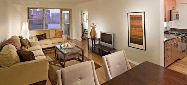 living room with light wood-type flooring