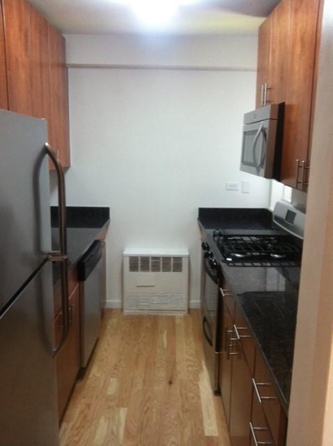 kitchen featuring light wood-type flooring, stainless steel appliances, and radiator