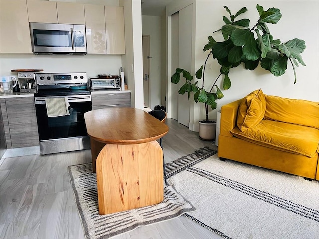 kitchen featuring stainless steel appliances and light hardwood / wood-style floors