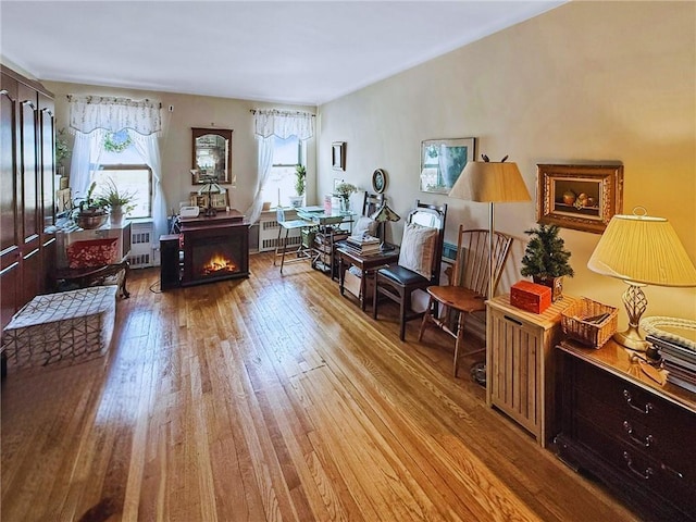 sitting room featuring radiator and light hardwood / wood-style flooring