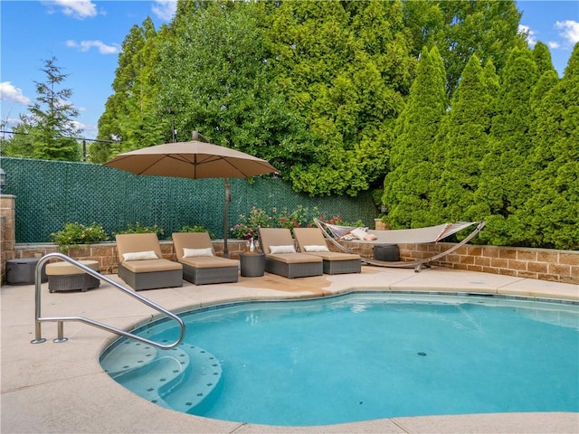 view of pool featuring a fenced backyard, a fenced in pool, and a patio