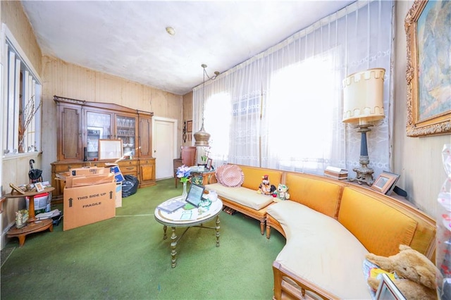 living area featuring carpet flooring