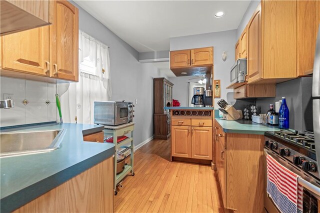 kitchen with appliances with stainless steel finishes, light hardwood / wood-style floors, and sink