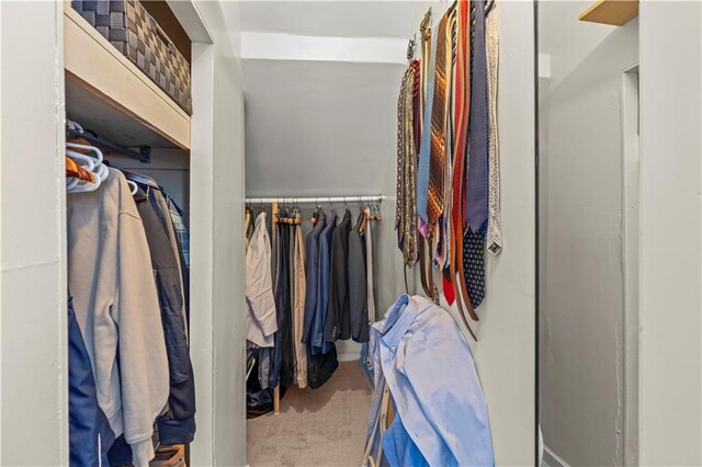 spacious closet featuring carpet