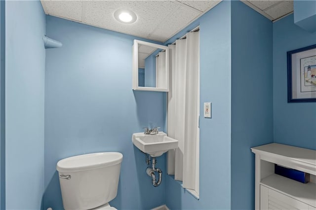 bathroom with toilet, a drop ceiling, and sink