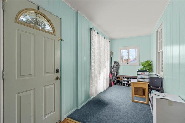 foyer featuring wood walls and carpet floors