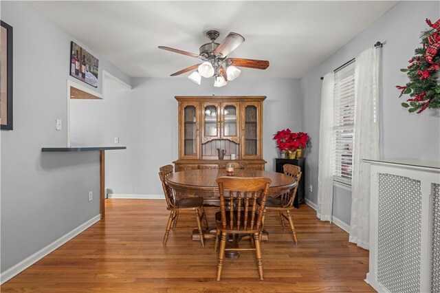 dining space with ceiling fan and wood-type flooring