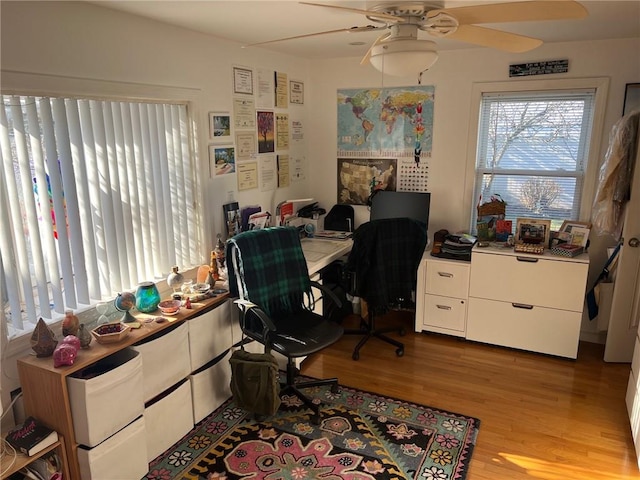 office space featuring ceiling fan and light hardwood / wood-style flooring