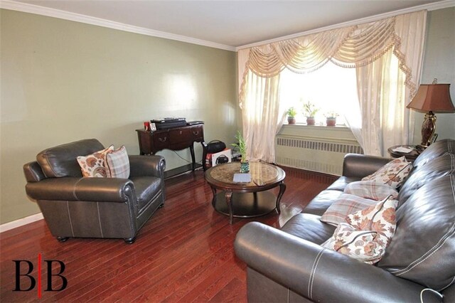 living room with dark hardwood / wood-style flooring, radiator heating unit, and crown molding