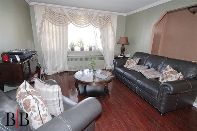 living room featuring ornamental molding, dark hardwood / wood-style flooring, and radiator