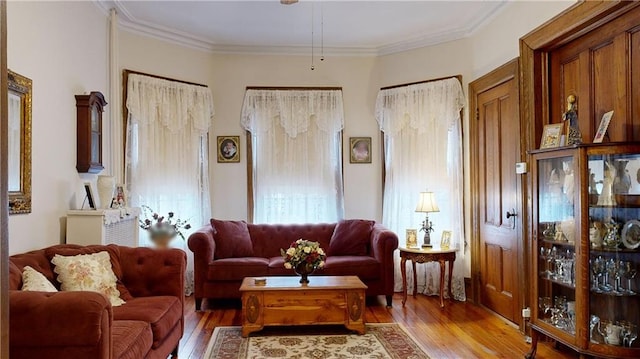 living room featuring ornamental molding and hardwood / wood-style floors