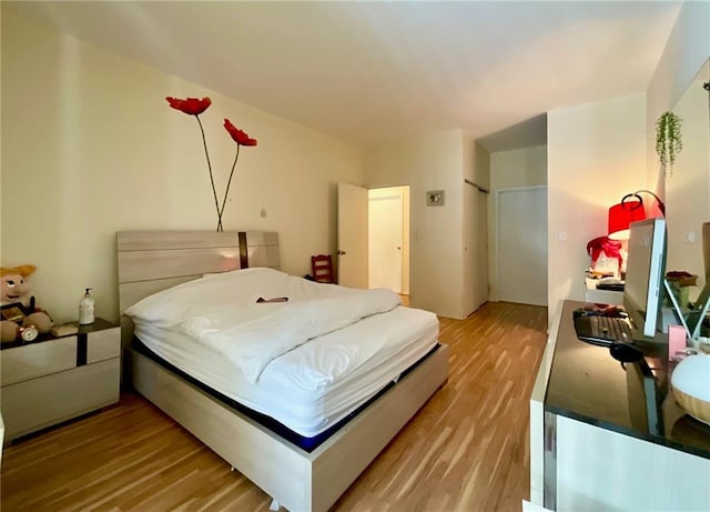 100 Oceana Dr W Unit 1G, Brooklyn, NY 11235 - bedroom with light wood-type flooring and a closet
