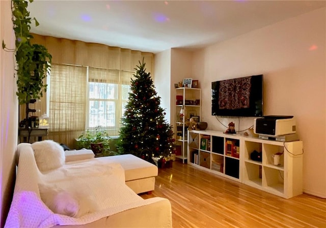 living room with hardwood / wood-style floors