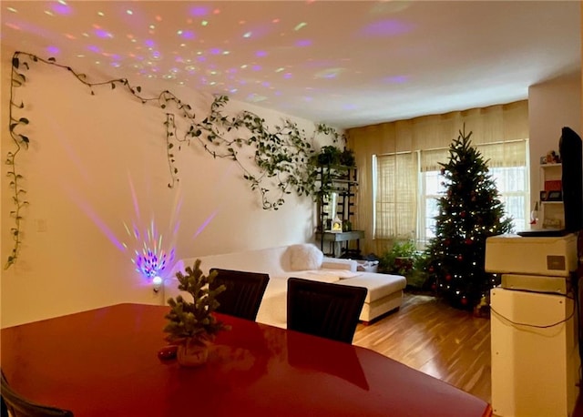 dining room with light hardwood / wood-style flooring