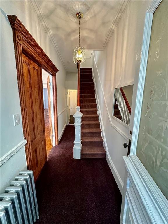 stairway with crown molding, carpet flooring, radiator heating unit, and a chandelier