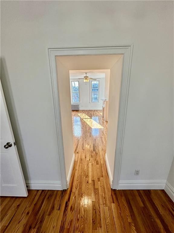 hallway featuring radiator heating unit and hardwood / wood-style floors