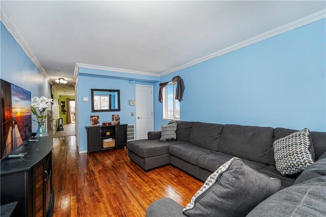 living room featuring dark wood-type flooring and crown molding