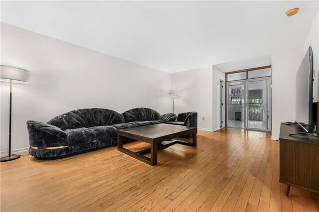 living room featuring hardwood / wood-style flooring