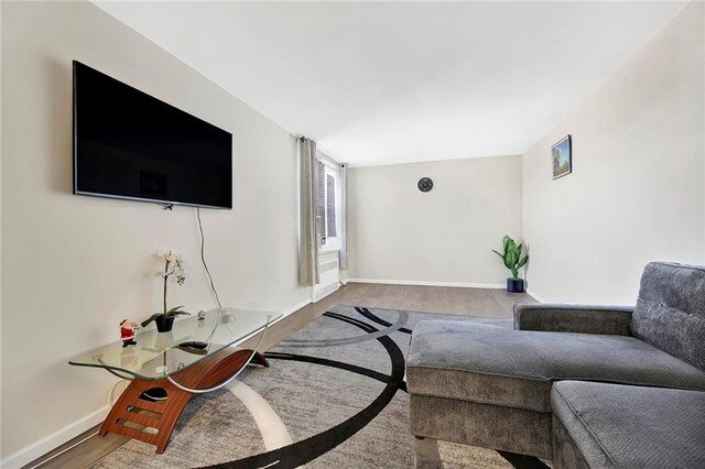 living room featuring hardwood / wood-style flooring