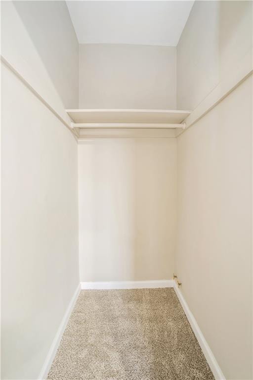 spacious closet featuring carpet floors